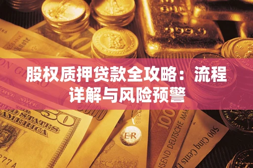 武汉股权质押贷款全攻略：流程详解与风险预警