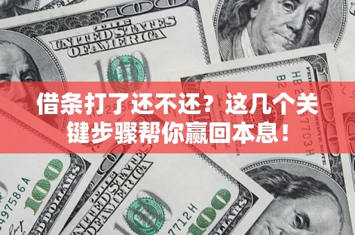 武汉借条打了还不还？这几个关键步骤帮你赢回本息！
