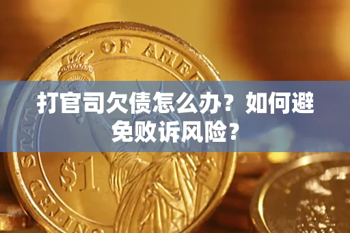 武汉打官司欠债怎么办？如何避免败诉风险？