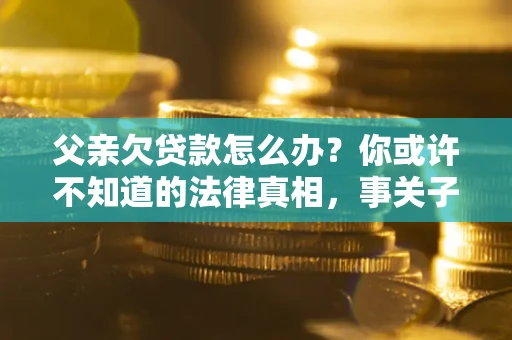 武汉父亲欠贷款怎么办？你或许不知道的法律真相，事关子女未来