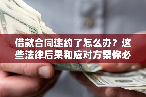 武汉借款合同违约了怎么办？这些法律后果和应对方案你必须知道