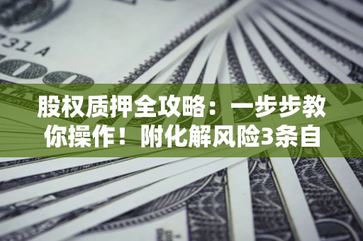 武汉股权质押全攻略：一步步教你操作！附化解风险3条自救法则