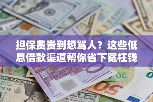 武汉担保费贵到想骂人？这些低息借款渠道帮你省下冤枉钱