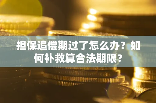 武汉担保追偿期过了怎么办？如何补救算合法期限？