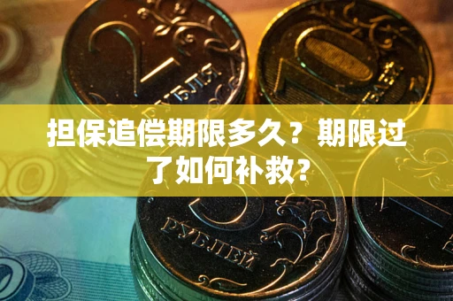 武汉担保追偿期限多久？期限过了如何补救？