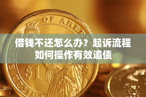 武汉借钱不还怎么办？起诉流程如何操作有效追债