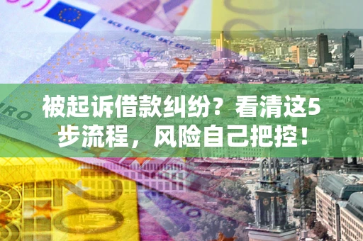 武汉被起诉借款纠纷？看清这5步流程，风险自己把控！